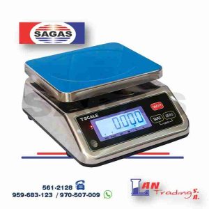BALANZA GRAMERA T SCALE MOD: S29B